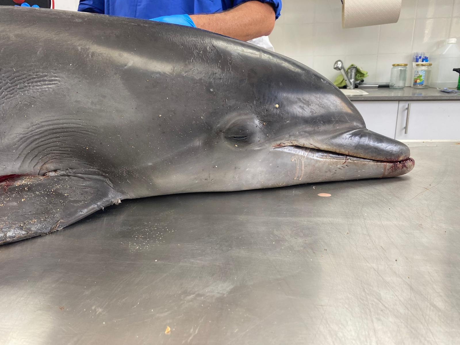 WhatsApp Image 2024-07-05 at 15.15.23_2c1ea3bd.jpg